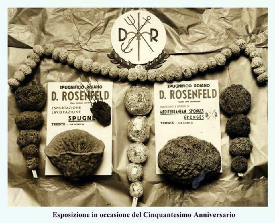 Spugnificio Rosenfeld Archivio CCIAA Trieste Spugnificio Rosenfeld Archivio CCIAA Trieste