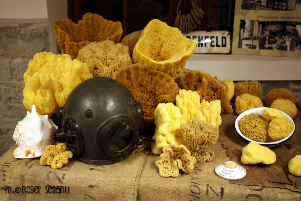 Trieste Spugnificio Rosenfeld Trieste Spugnificio Rosenfeld