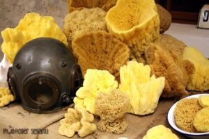 Album Facebook Industrie Triestine Album Facebook Industrie Triestine